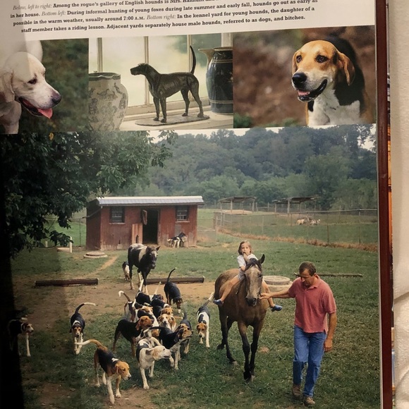 🐶 HOST PICK🐶 9 1/2 x 12 in LIVING WITH DOGS Coffee Table Book - Picture 10 of 12